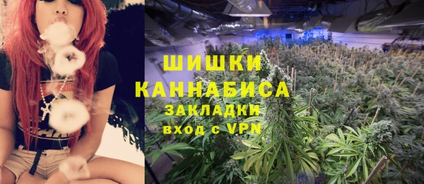 тгк Арсеньев