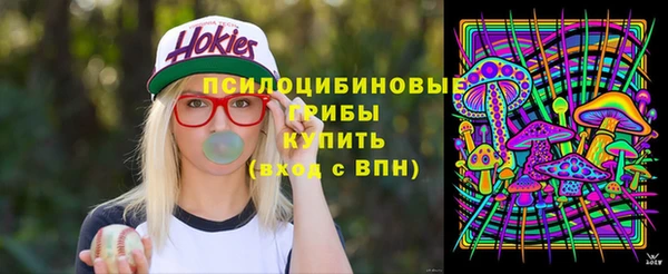 твердый Аркадак