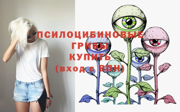 дживик Армянск