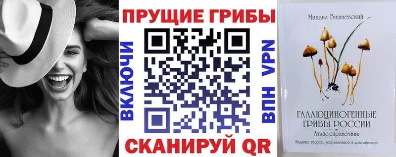 Купить закладки Орлов Галлюциногенные грибы GOLDEN TEACHER